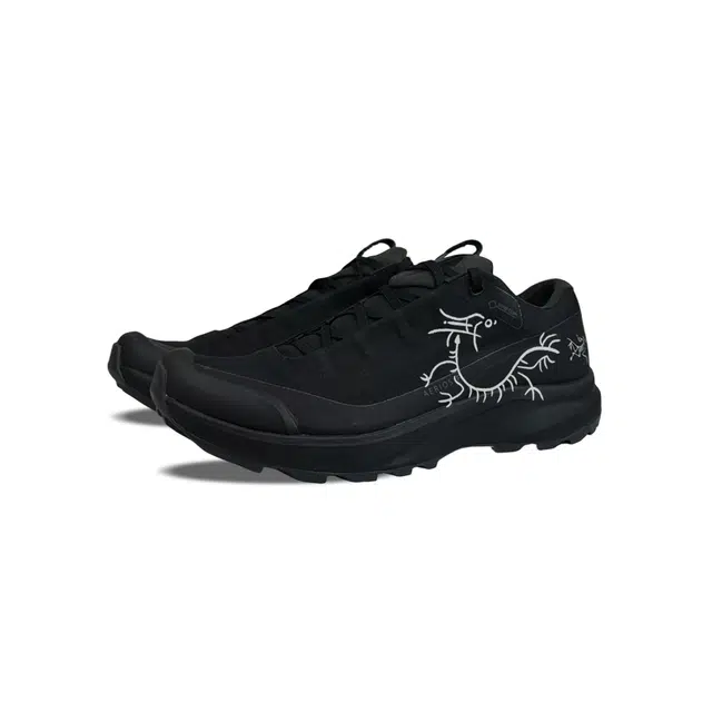 Arcteryx AERIOS FL GTX