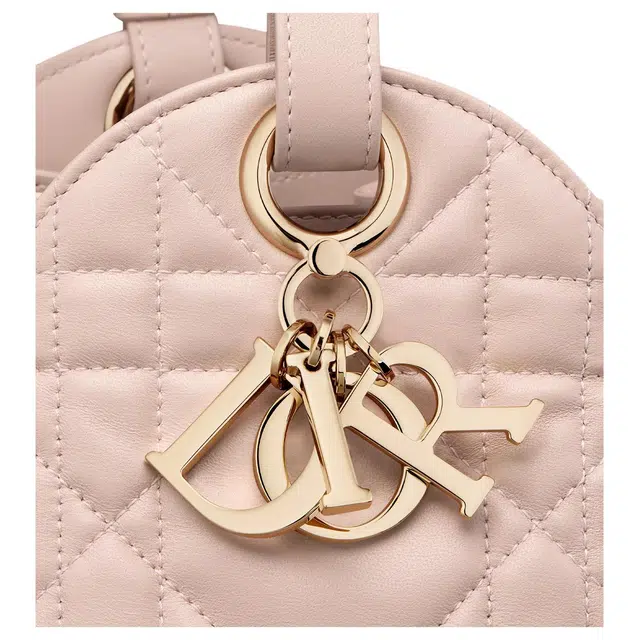 DIOR D-Motion