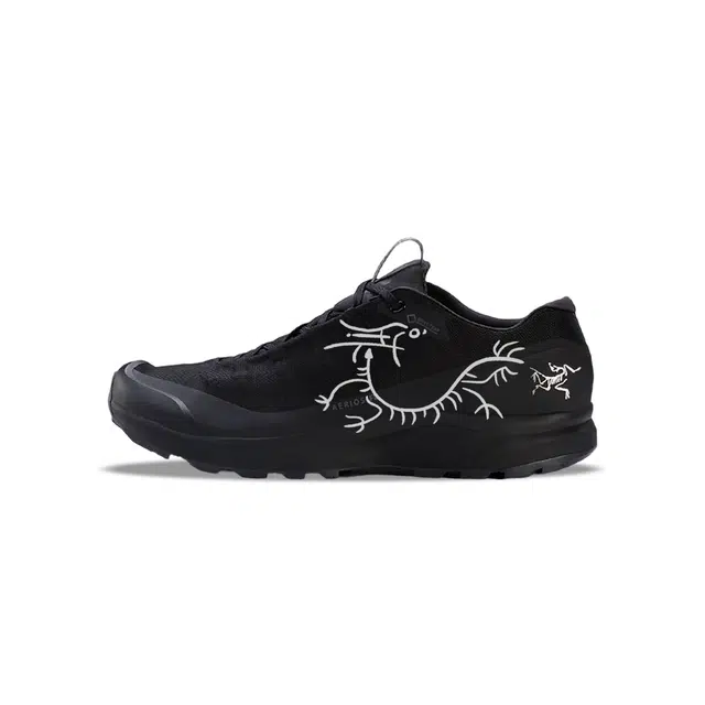 Arcteryx AERIOS FL GTX
