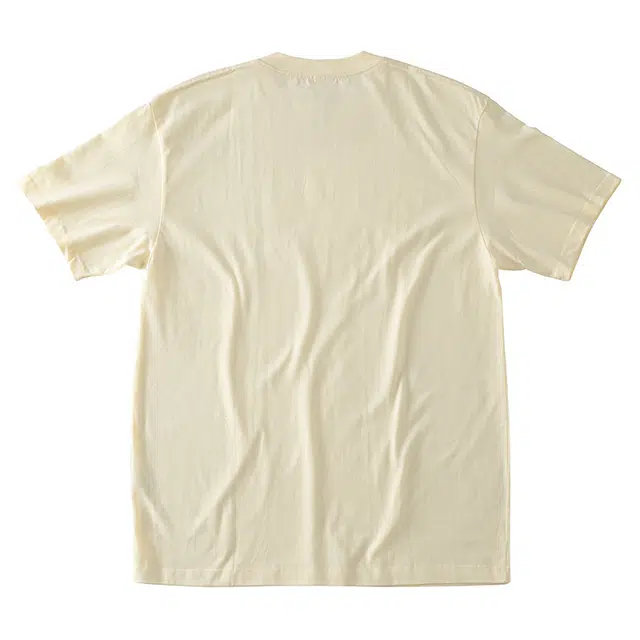 SANTASTIC T