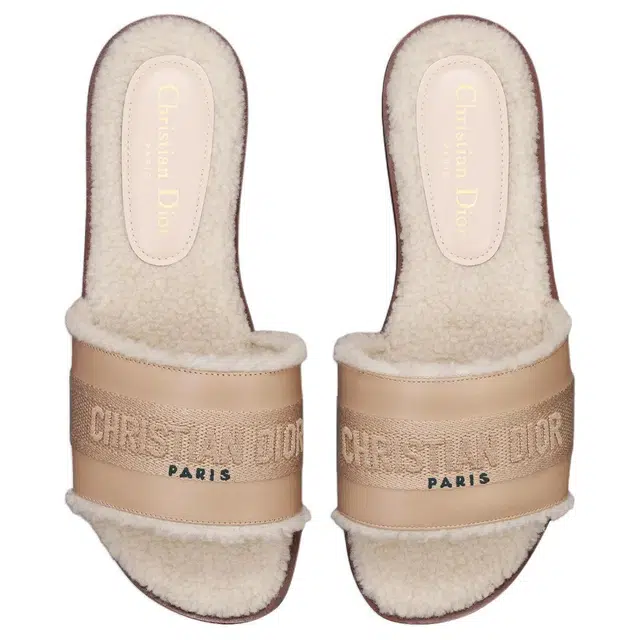 DIOR Dway