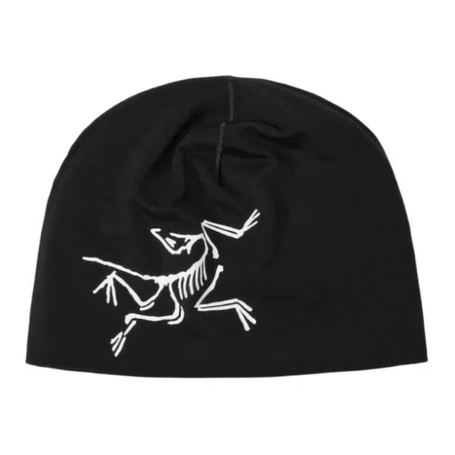 Arcteryx
