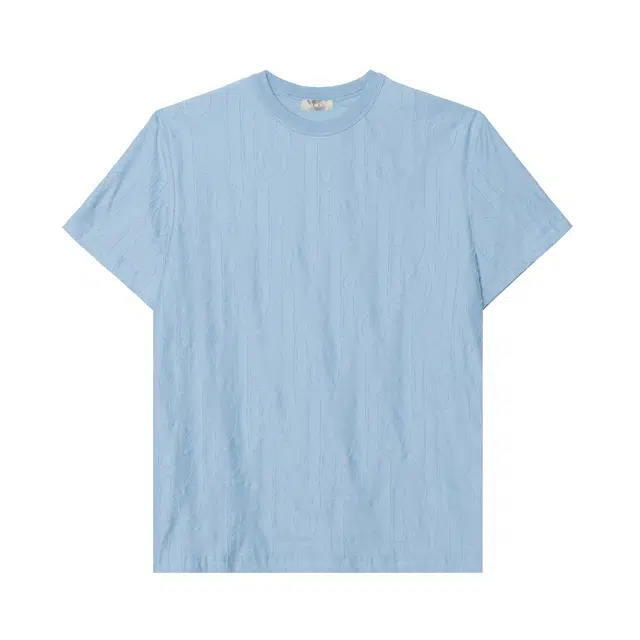 DIOR FW25 T