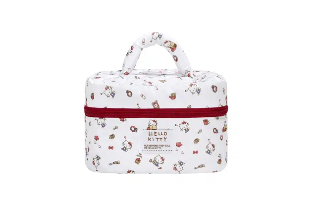 zgo x Sanrio hellokitty