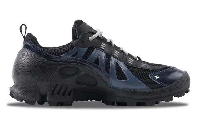 ecco Biom C Trail