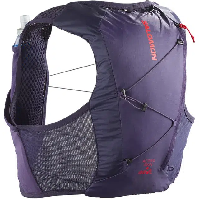 SALOMON4L