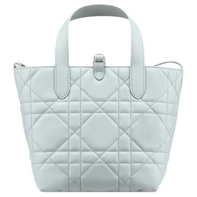 DIOR Toujours Tote
