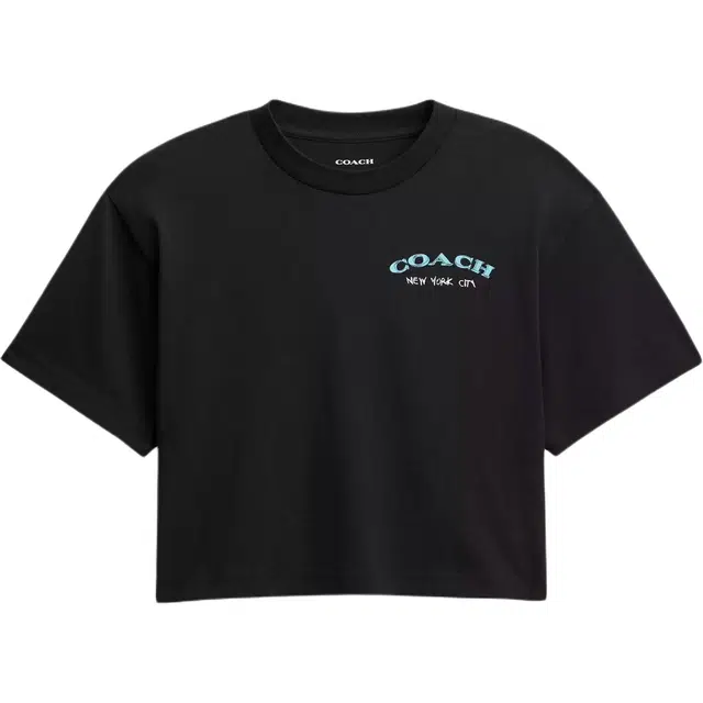 COACH FW25 T