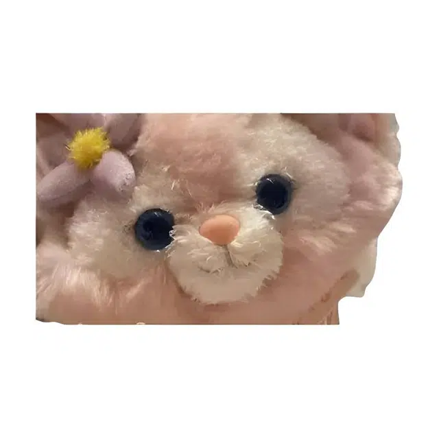 Disney x DISNEYLAND -