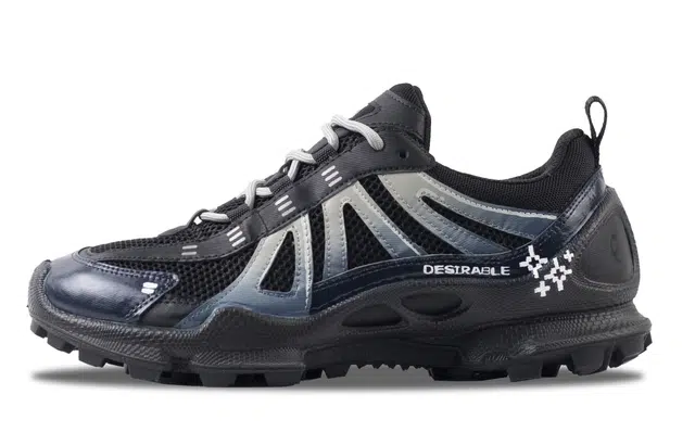 ecco Biom C Trail