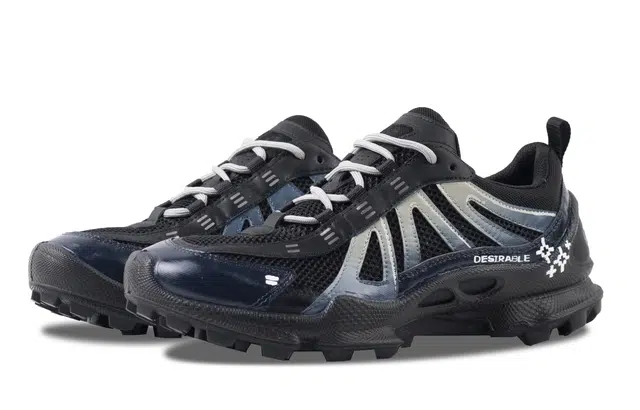 ecco Biom C Trail