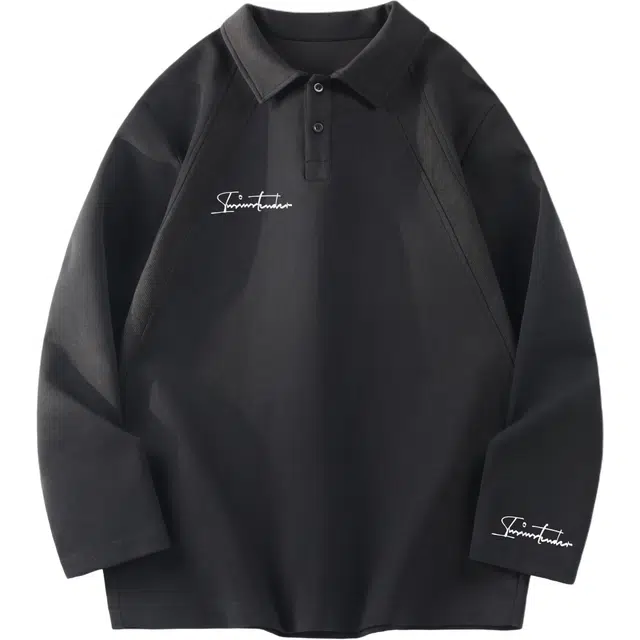 INS Polo
