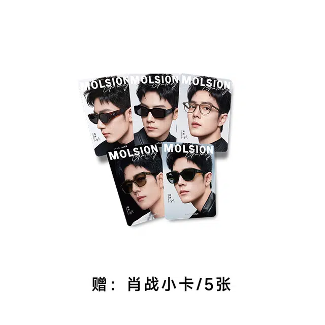 MOLSION logo TR