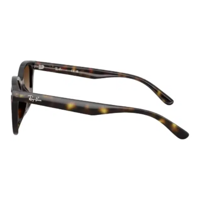 RayBan