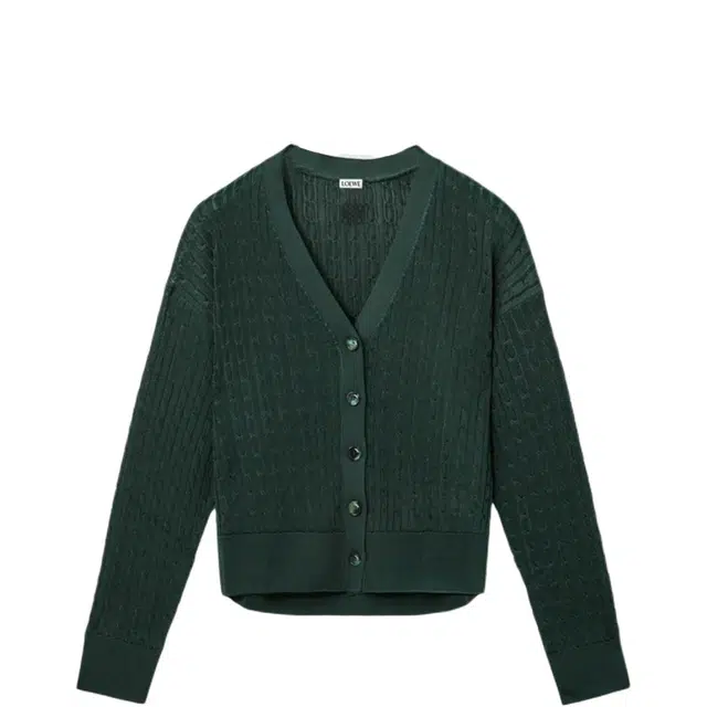 LOEWE FW25 V