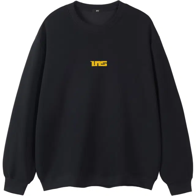 INS inslogo