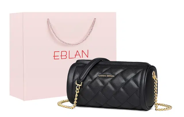 EBLAN ins