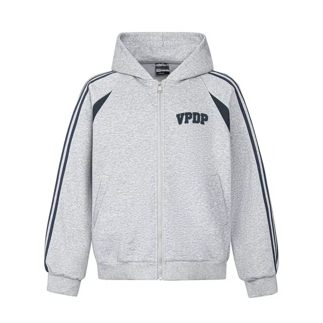 VPDP logo