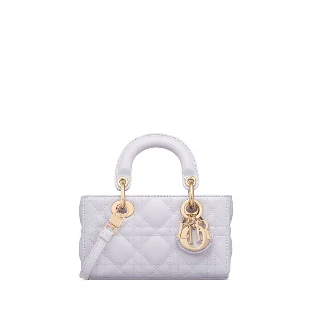 DIOR Lady D-Joy