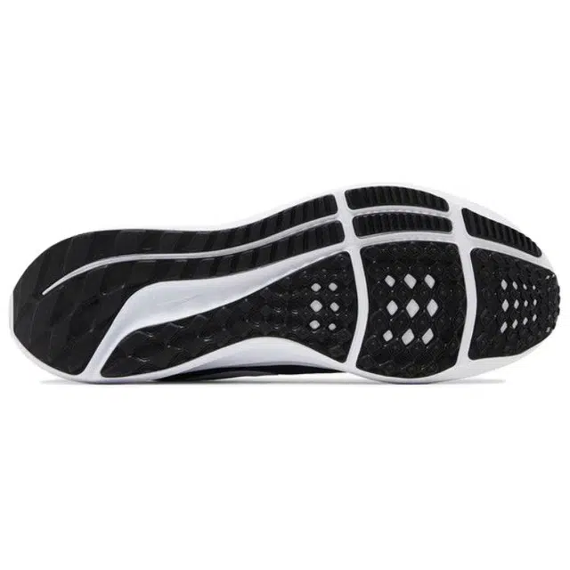 Nike Air Zoom Pegasus 39