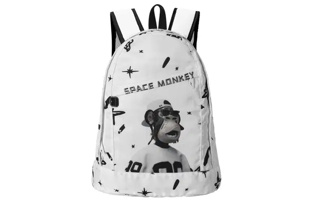 DRACONITE X HAPE X Space Monkey