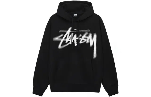 Stussy FW23 DIZZY STOCK HOODIE Logo