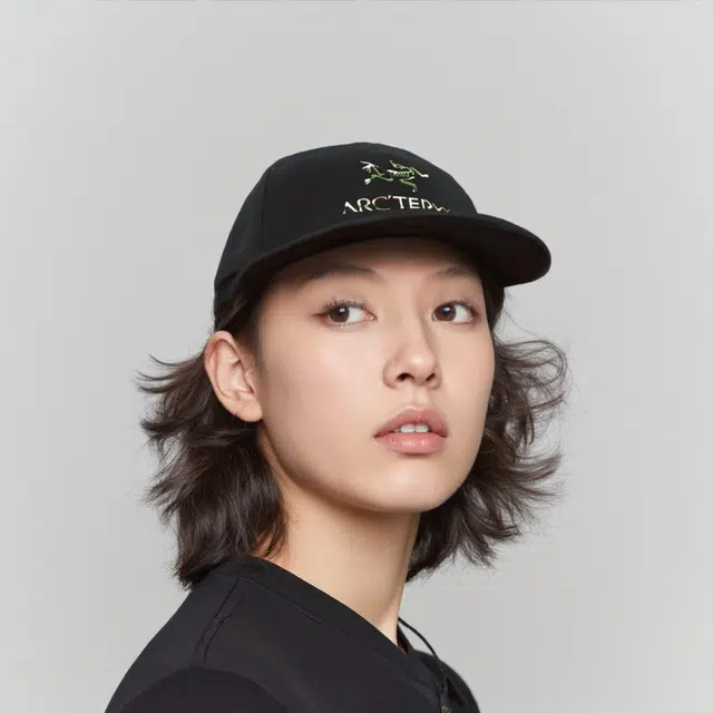 Arcteryx 811