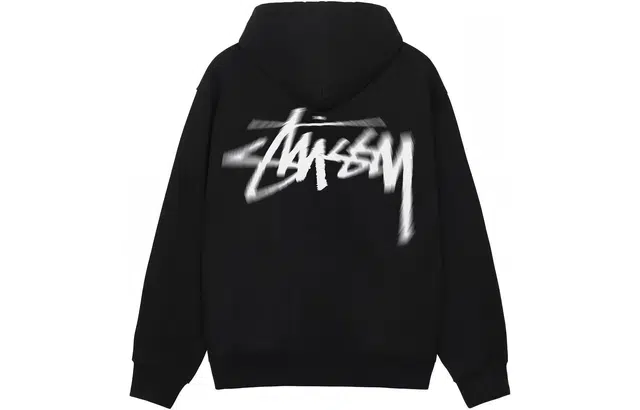 Stussy FW23 DIZZY STOCK HOODIE Logo