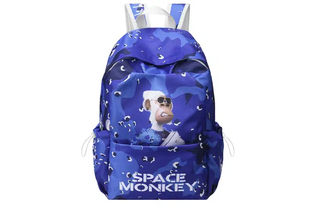 DRACONITE X HAPE X Space Monkey