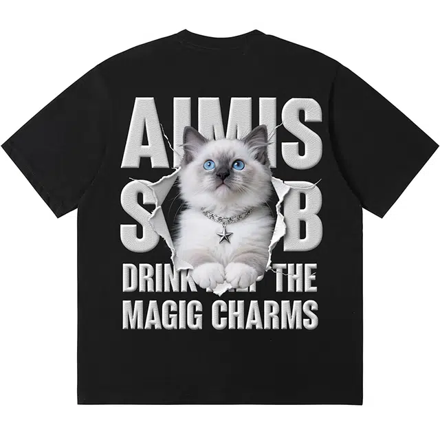 AIMISS T