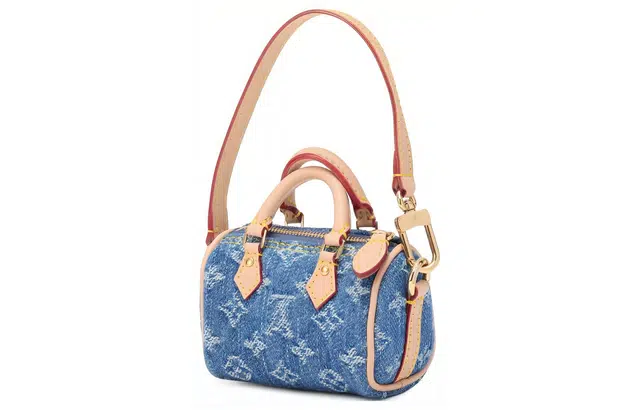 Louis Vuitton Speedy Denim Bucket Bag