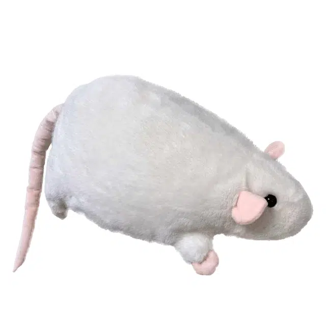 abay 35cm