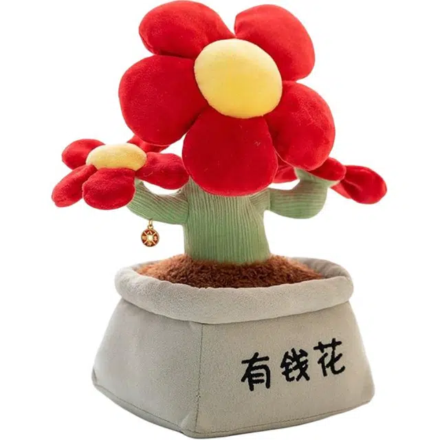 20cm