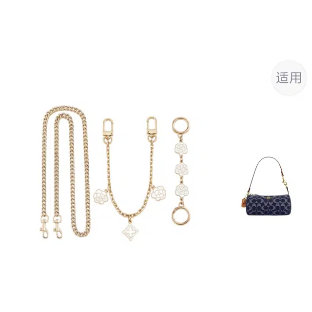 Coach nolita 20