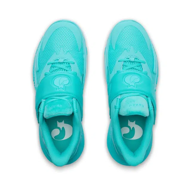 Under Armour Curry Fox 2 UA