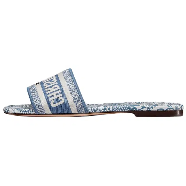 DIOR Dway