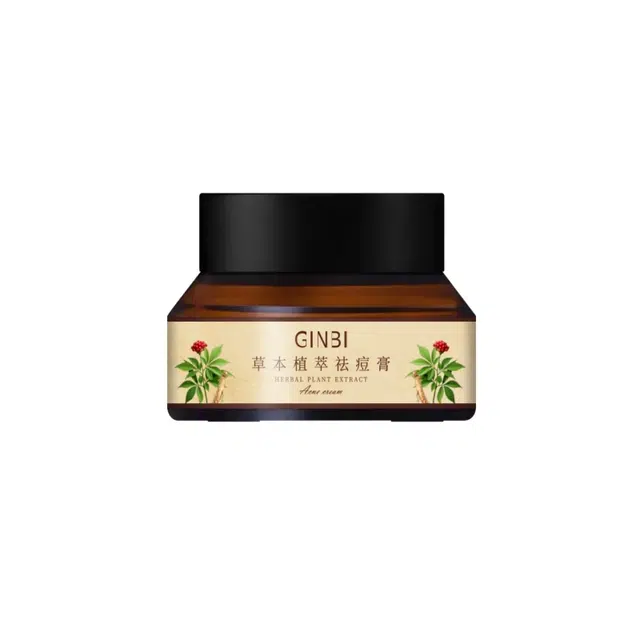 GINBI