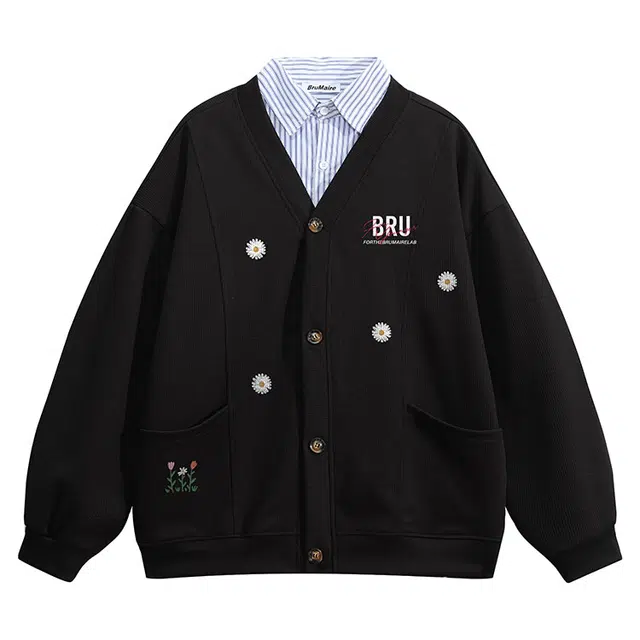 BRUMAIRE V