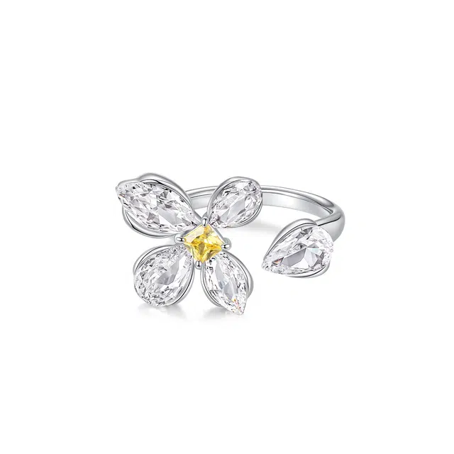 DESIGN CIRCLES ins S925