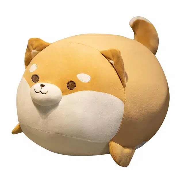 40cm50cm60cm80cm