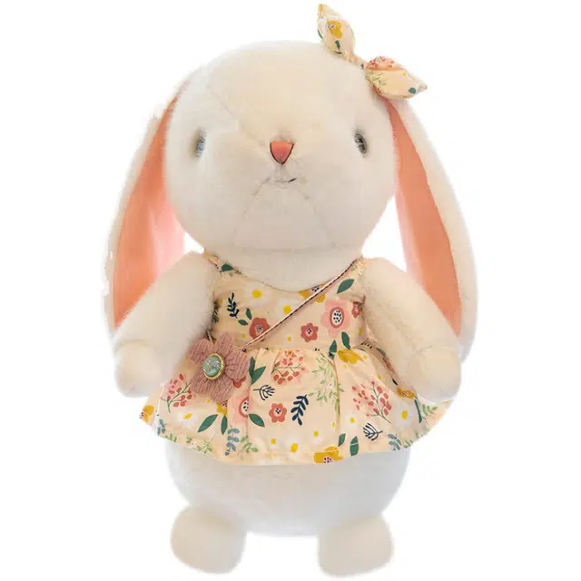 CANEXT 23cm30cm