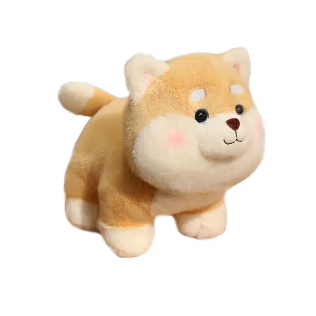 CANEXT 26cm