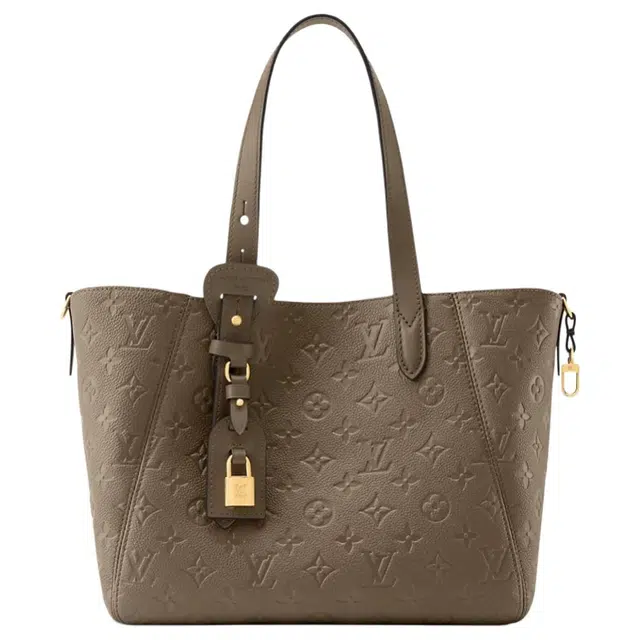 LOUIS VUITTON All In One Tote