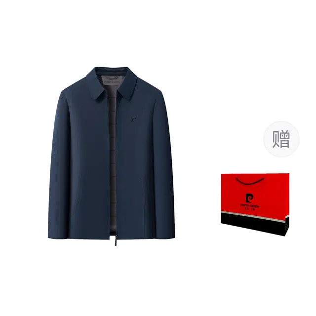 PIERRE CARDIN LOGO