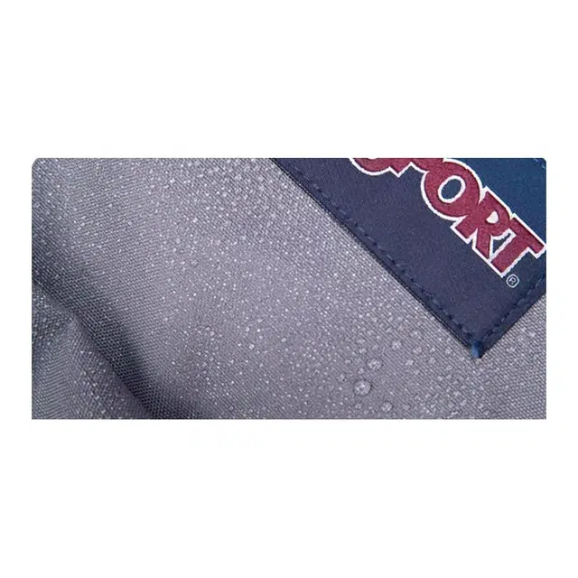 JanSport 26L