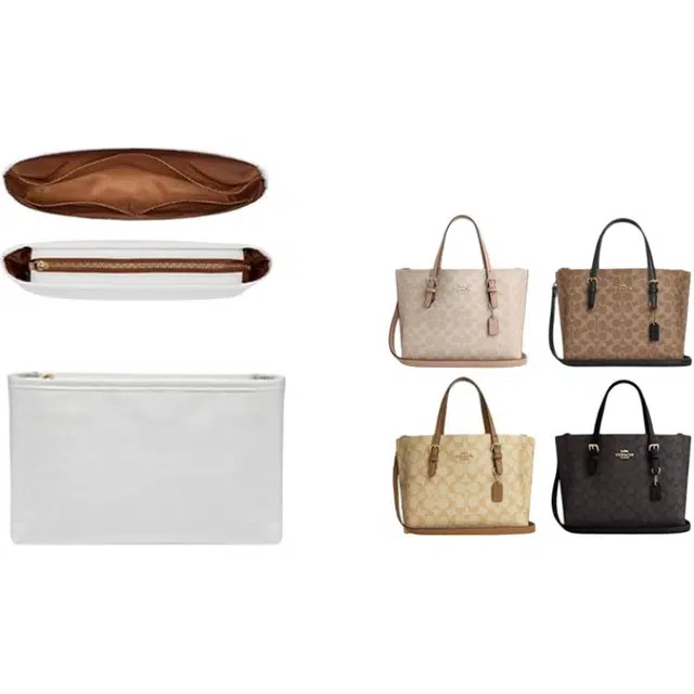 jingxi mollie25coach