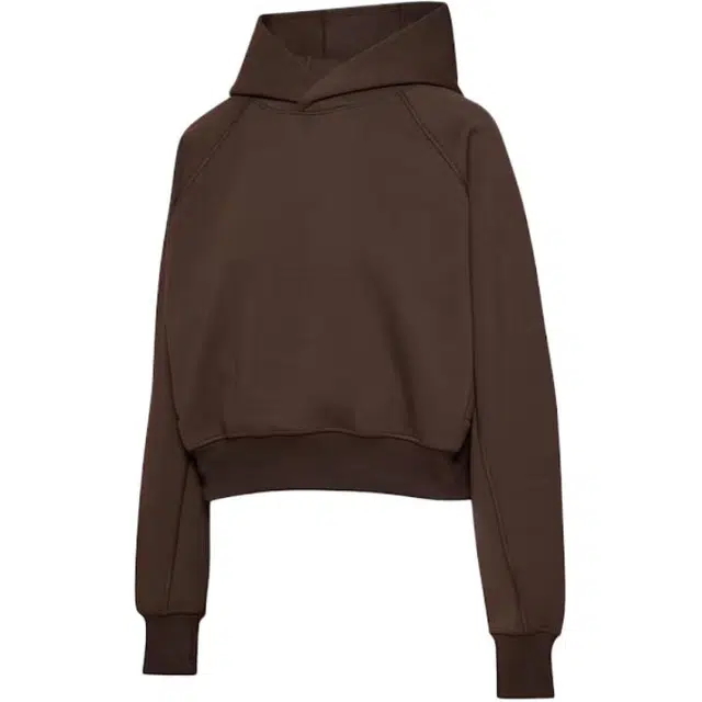 ARITZIA FW25 Golden FormaFleece Speed Hoodie