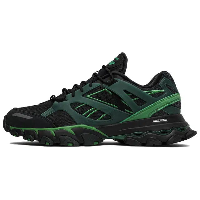 Cottweiler x Reebok Dmx Trail Shadow