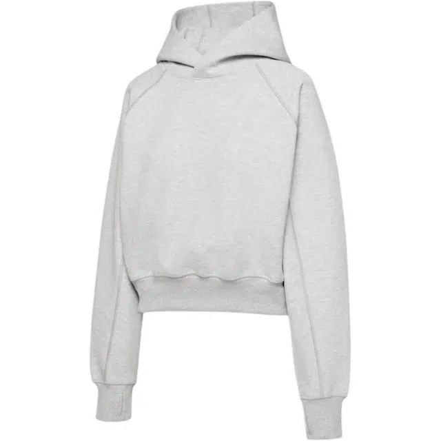 ARITZIA FW25 Golden FormaFleece Speed Hoodie