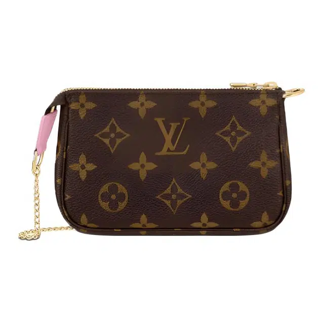 LOUIS VUITTON Pochette Accessories